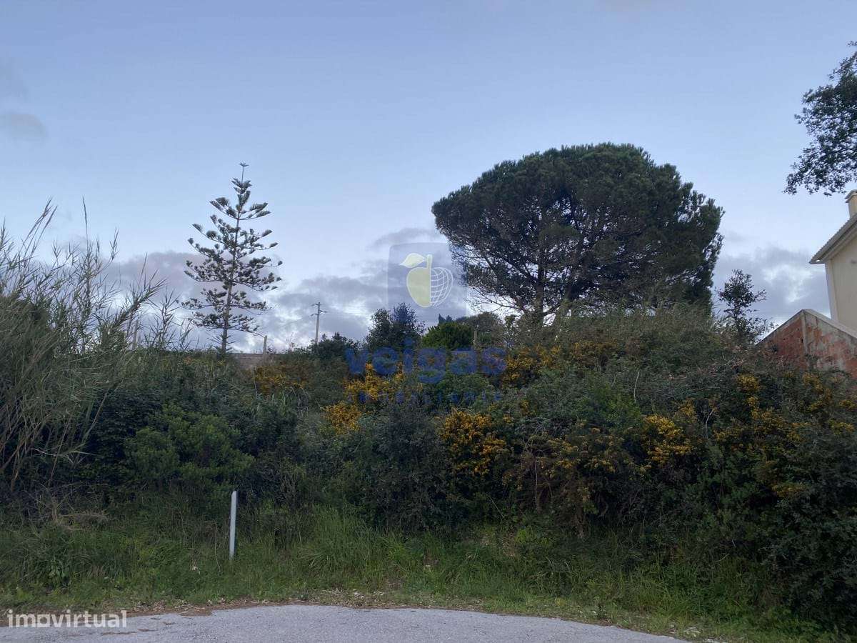 Terreno   p/construção com vista para a Lagoa de Obidos - Grande imagem: 5/17