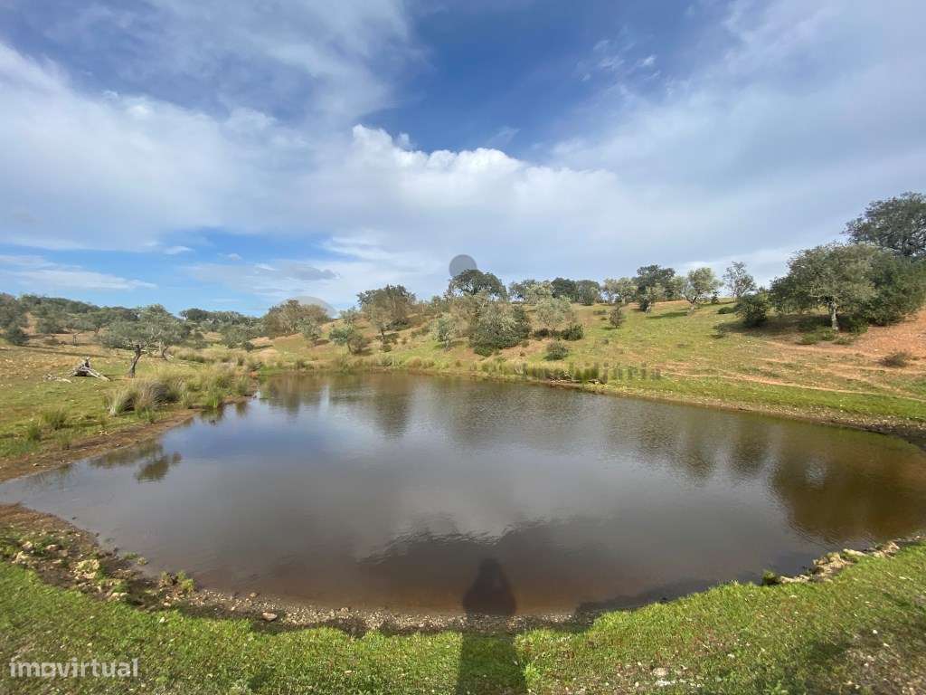 Quinta com cerca de trinta hectares no Alentejo, com monte Alenteja... - Grande imagem: 3/60