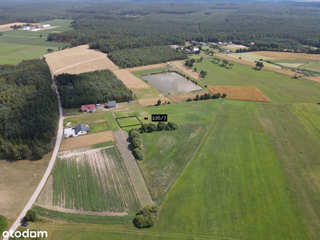 Działka na łonie natury - 2,6 km od Szubina - Pełny obrazek: 3/10