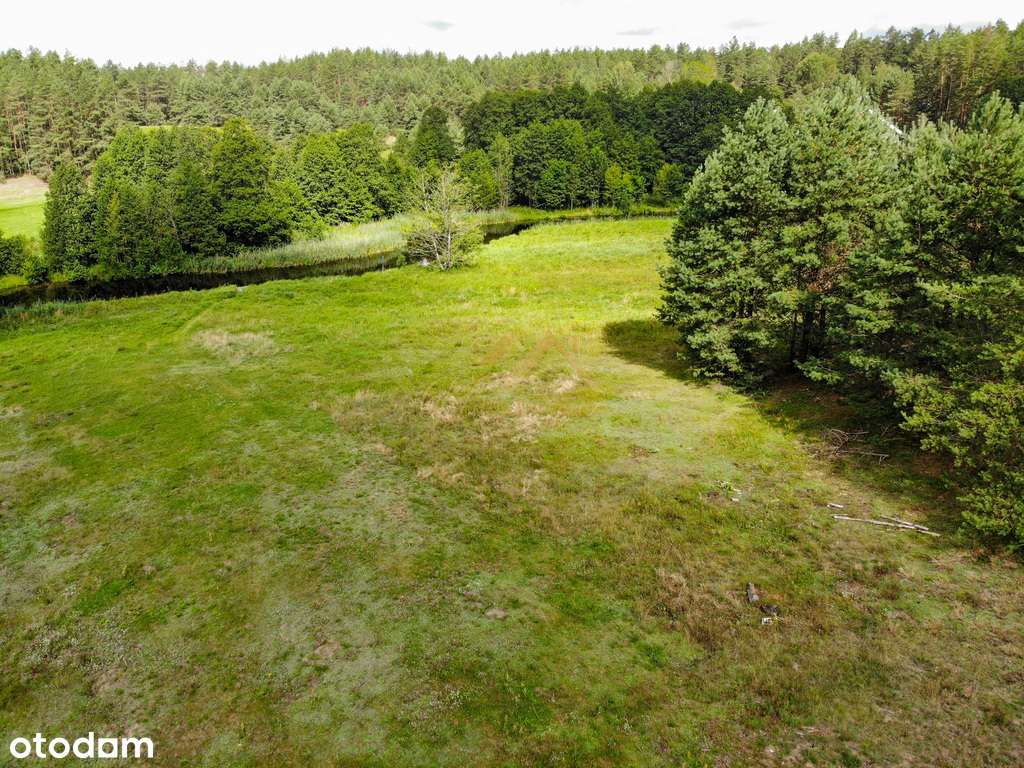 Twoja ostoja w sercu Puszczy Augustowskiej-14