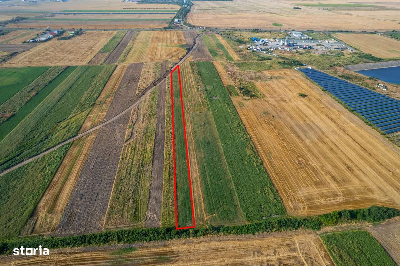 Teren 4.271 mp de vanzare  în Vladimirescu - Imagine principală: 5/6