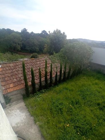 Propriedade junto ao Freixo-3