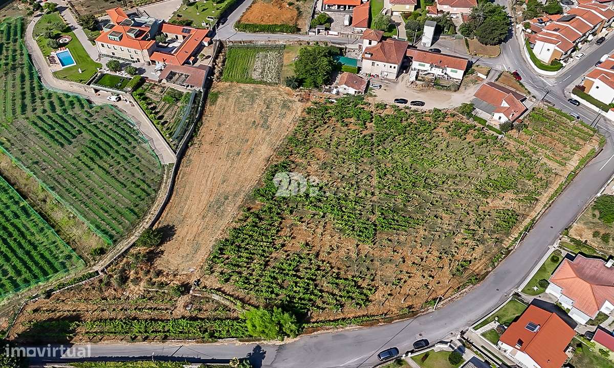 Quinta 13.000m² - Antas - Grande imagem: 5/11