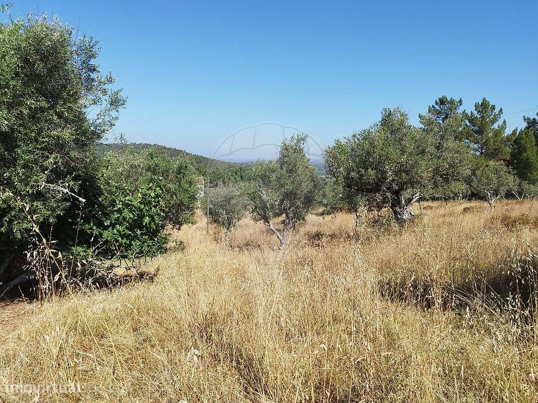 Terreno  para venda - Grande imagem: 5/6