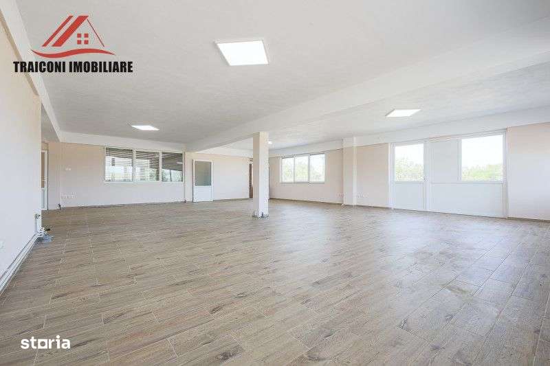 Cladire pensiune-restaurant cu hala si teren 7300mp, Faget ( Timis )-13