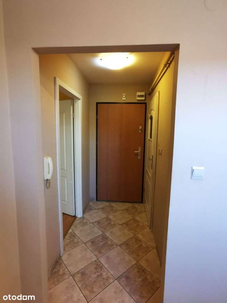 Kawalerka,super lokalzacja-3