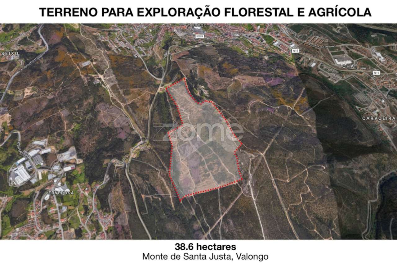 Terreno para exploração florestal e agrícola - Santa Justa, Valongo - Grande imagem: 5/19