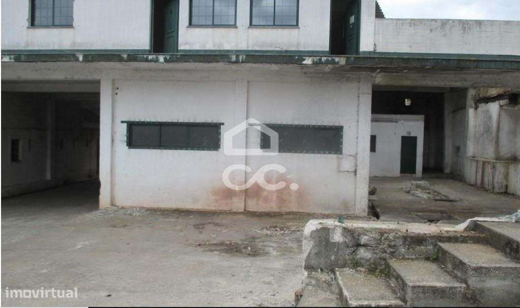 Armazem em Alvaiazere ( antigo lagar)-9