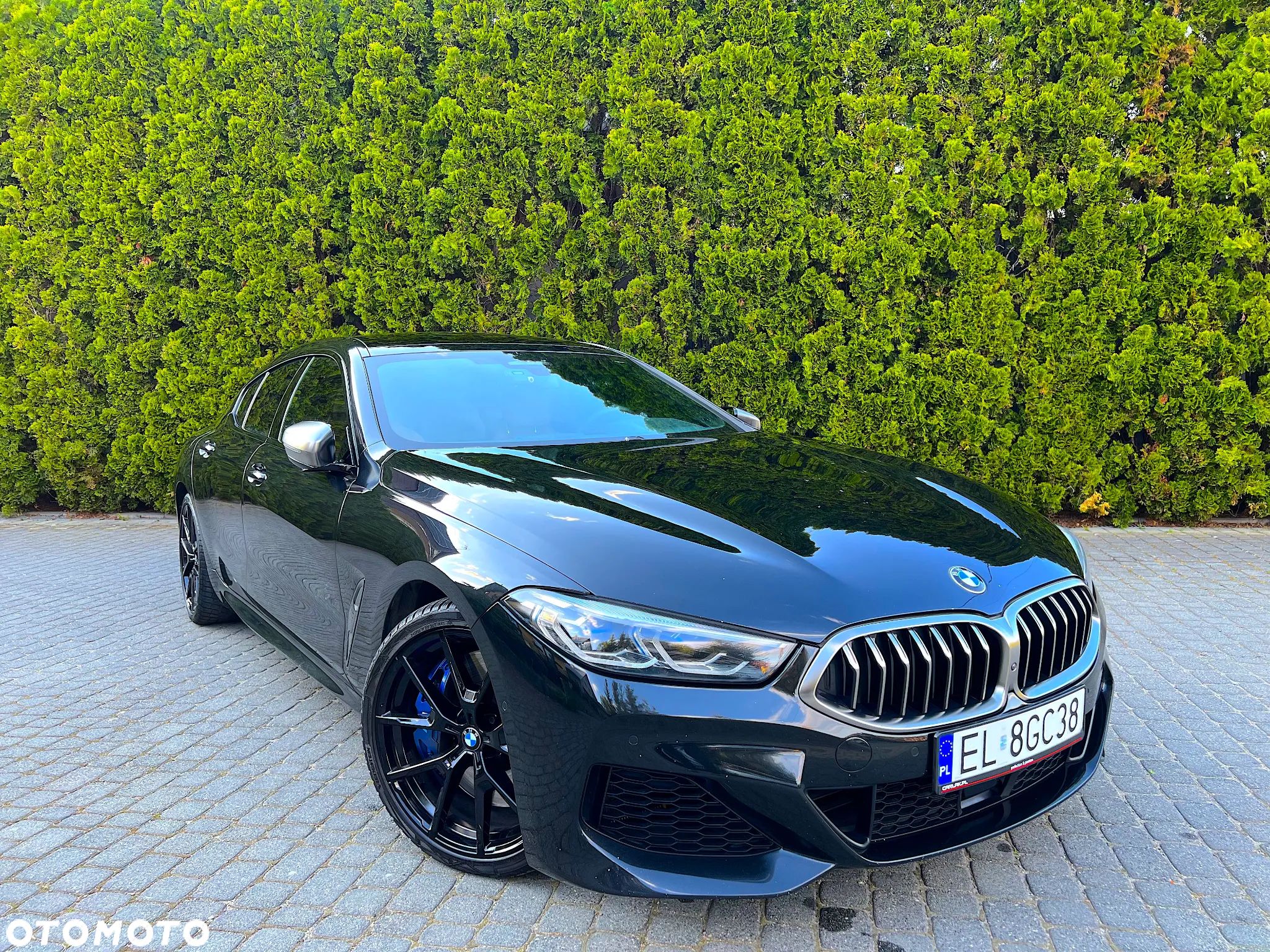 BMW Seria 8 M850i xDrive - 1