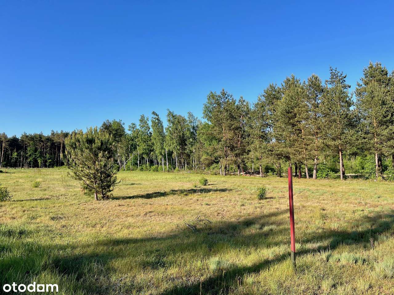 OSOWIEC skoszona, jest MPZP, utwardzona droga dojazdowa 0% PROWIZJI-8