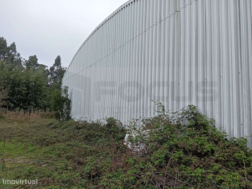 Pavilhão Industrial - Vagos - Grande imagem: 4/4