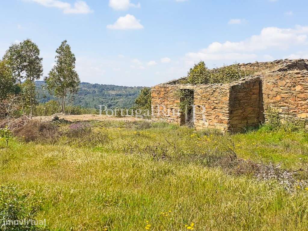Propriedade Única com 3,5 ha Natureza Intocada, Água Abundante e Co... - Grande imagem: 2/16