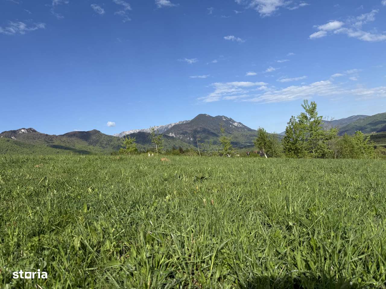 Teren intravilan construibil 500 mp-6