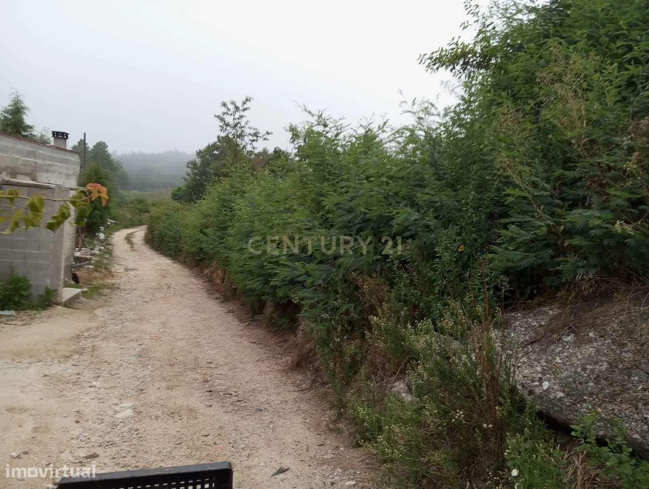 Terreno à venda em Santa Comba Dão, Viseu - 600m² - Grande imagem: 5/9