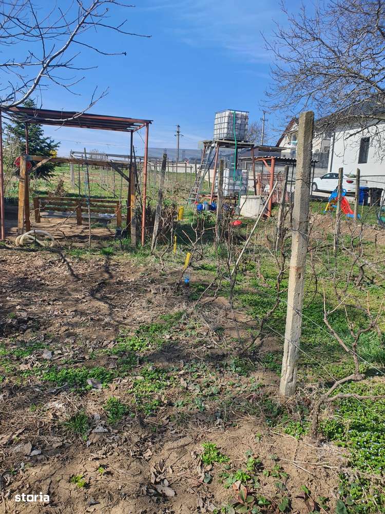 Teren in Teis - Imagine principală: 4/7