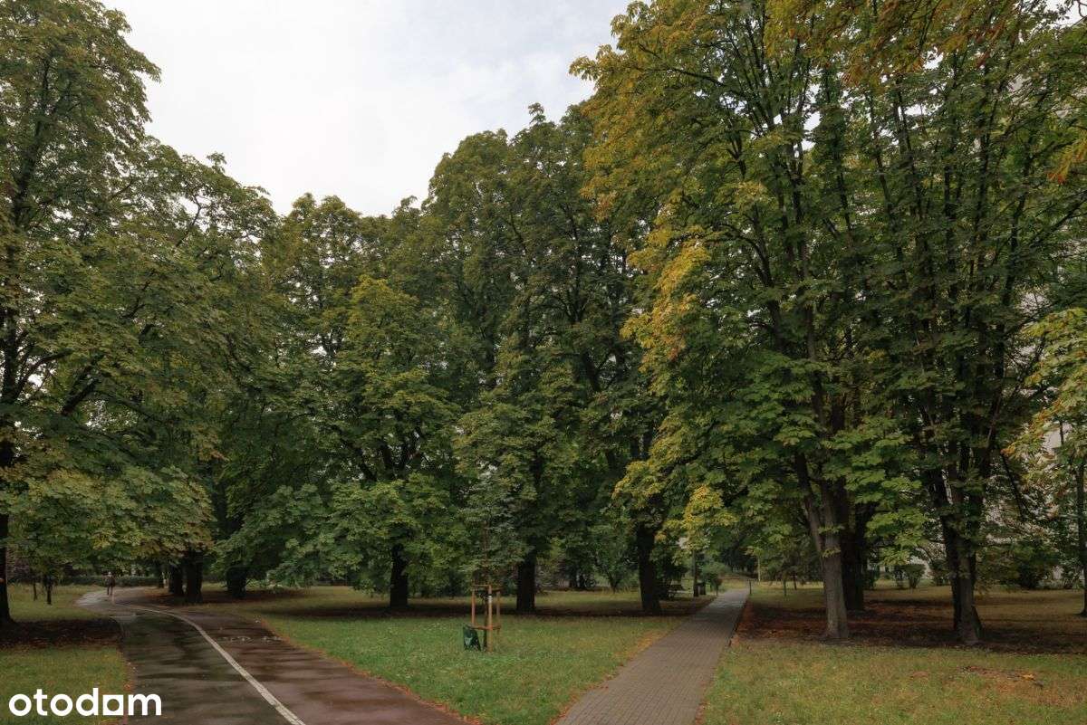 Żoliborz, 2 pokoje do własnej aranżacji-15
