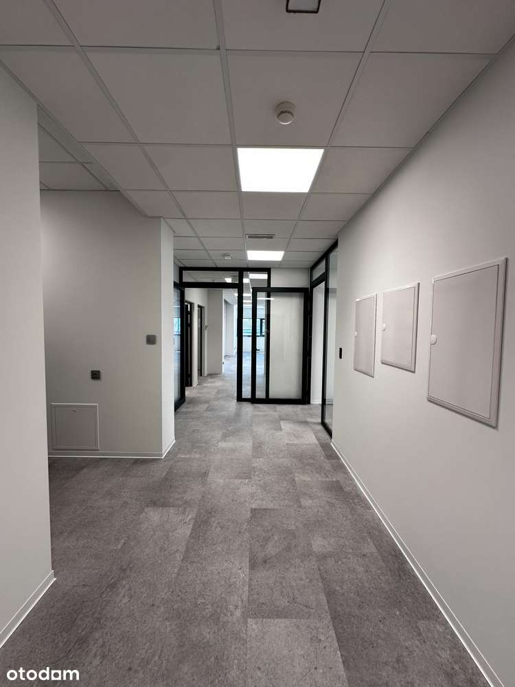 Wynajmę nowoczesny lokal 177m2 z dodatkową przestrzenią przeszkloną - Pełny obrazek: 2/14