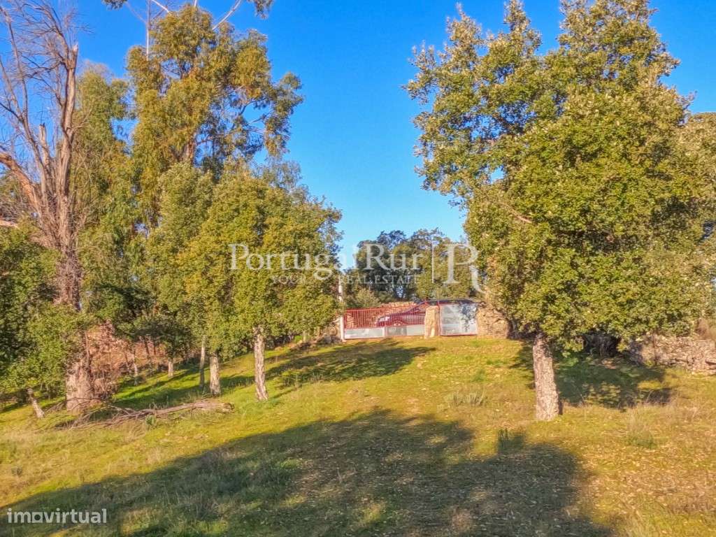 Quintinha com 1,2ha e ruína urbana em São Miguel Acha-8