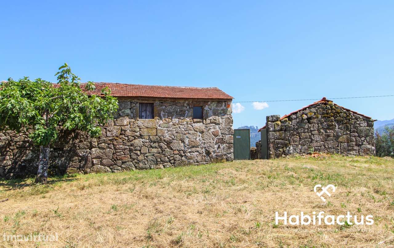 Quintinha T3 A 5 minutos das Termas de  S. Pedro do Sul - Grande imagem: 5/30