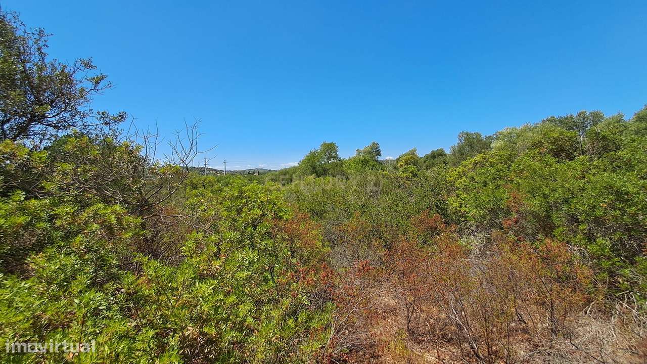 Terreno com 9.135 m² em Boliqueime-14