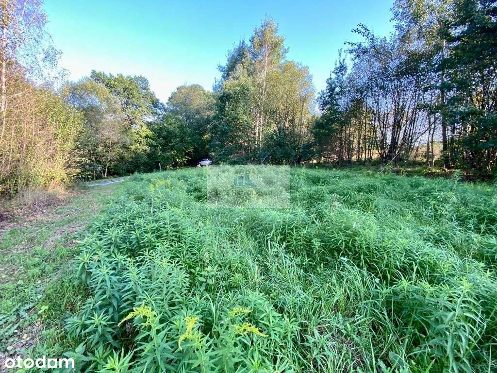Działka budowlana w Woli Radziszowskiej - Pełny obrazek: 5/5