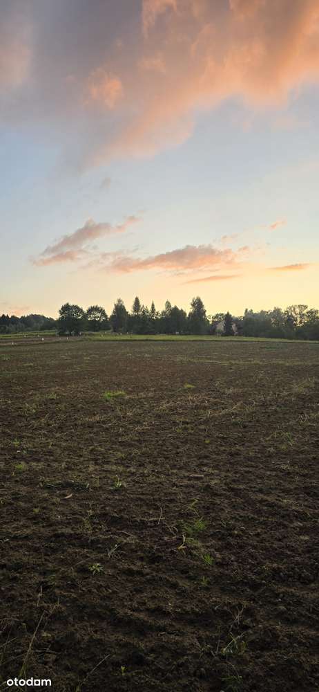 Działka w bezpośrednim sąsiedztwie Lanckorony - Pełny obrazek: 4/5