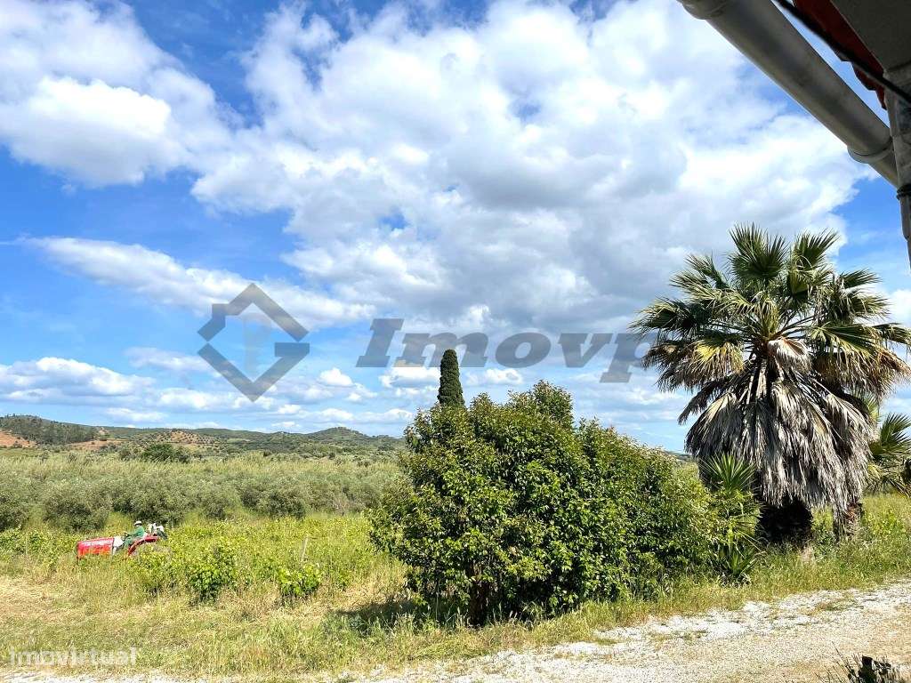Quinta localizada a 1,5Km da Vidigueira-29