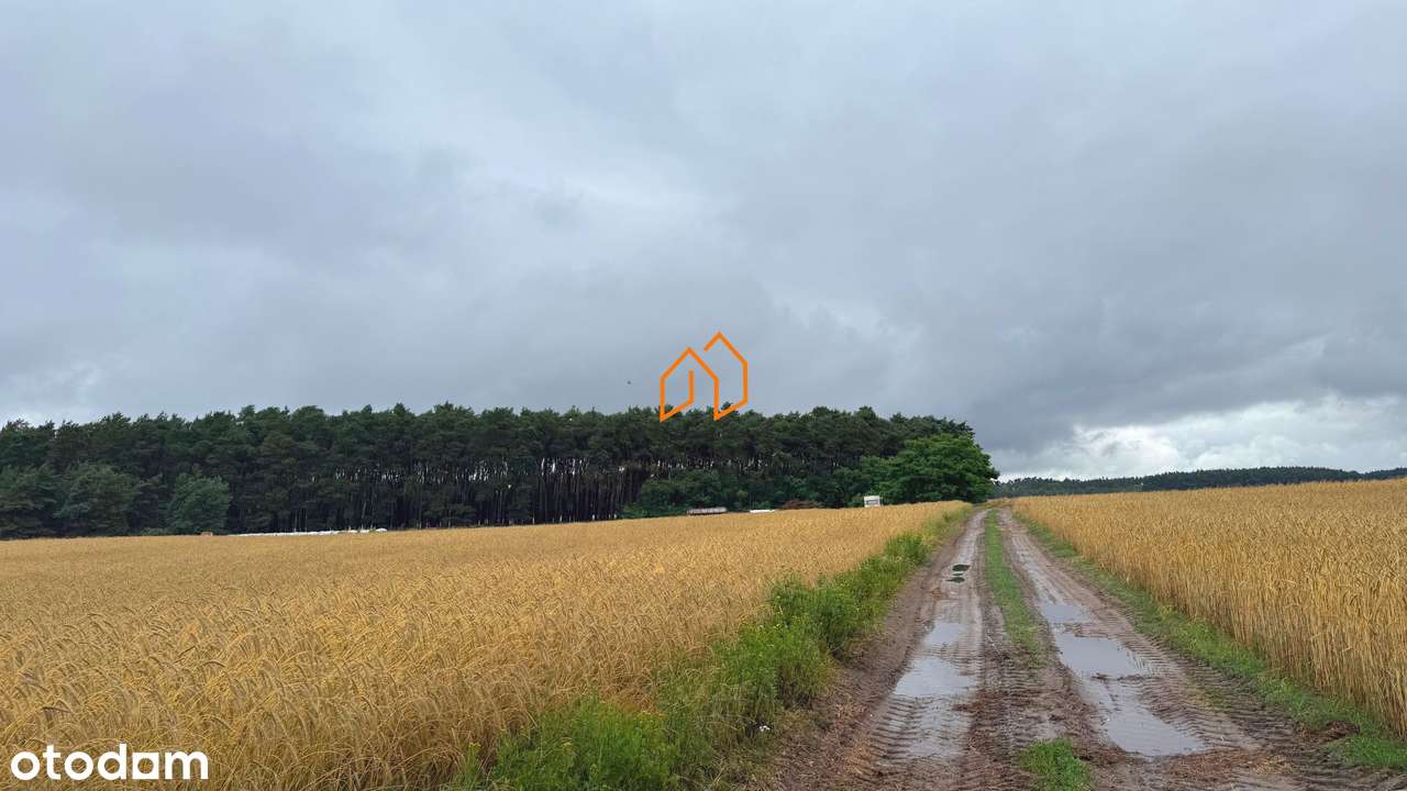 Działki budowlane w Niesłabinie-2