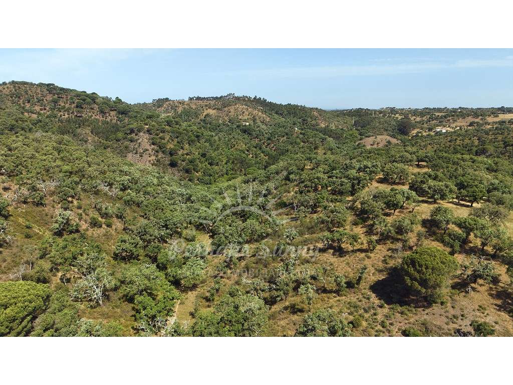 Terreno Misto para construção de Habitação ou Turismo - Melides-16