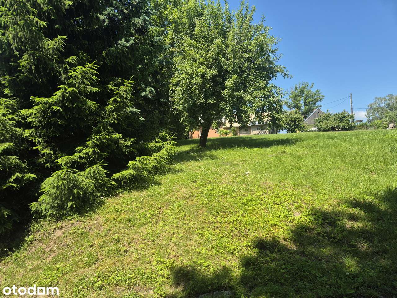 siedlisko z domem, garażem i stodołą, Rychliki, warmińsko-mazurskie - Pełny obrazek: 4/20