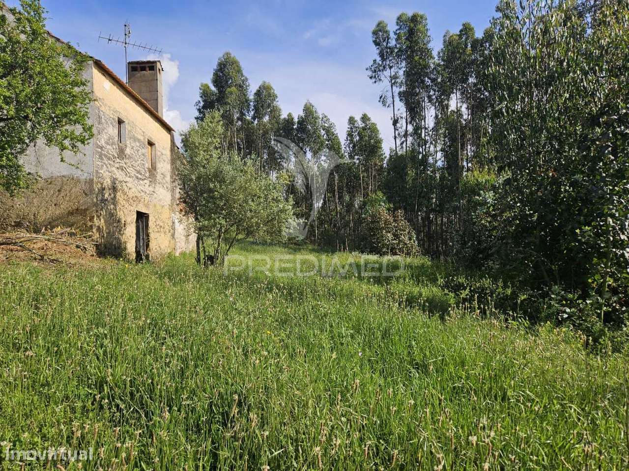 Moradia de Campo - Grande imagem: 4/15