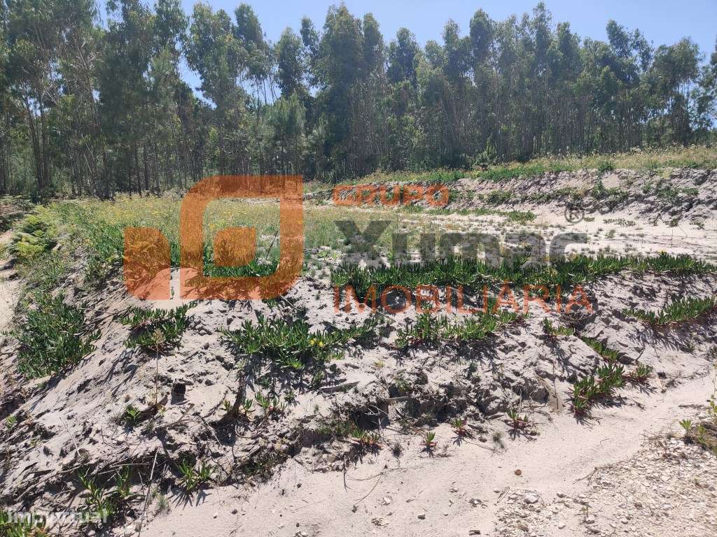 Terreno rústico para uso agrícola ou similar, ideal também para cas...-5