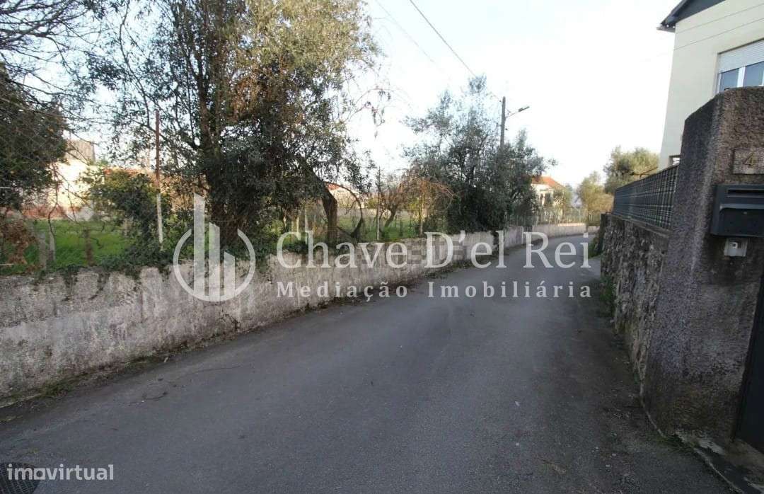 Terreno Rústico  Venda em Rio de Loba,Viseu - Grande imagem: 3/5