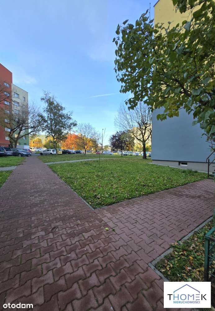 Przestronne mieszkanie - Dąbrowa Górnicza-18