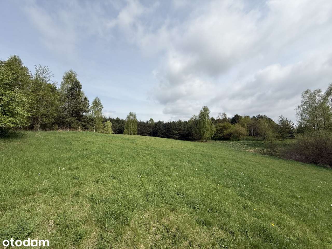 Kawałek zielonego raju, natura i śpiew ptaków - Pełny obrazek: 4/16