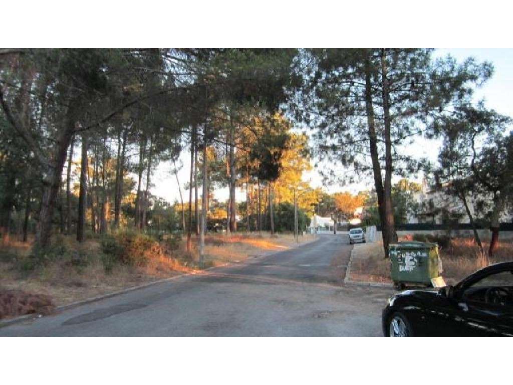 Terreno Urbano com 230,11 m2 para construção em Pinhal de Negreiros - Grande imagem: 3/4