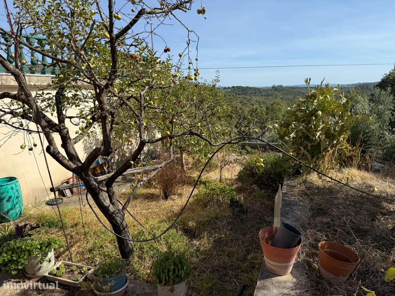 Moradia antiga com terreno, furo de agua e painéis solares aquecimento-22