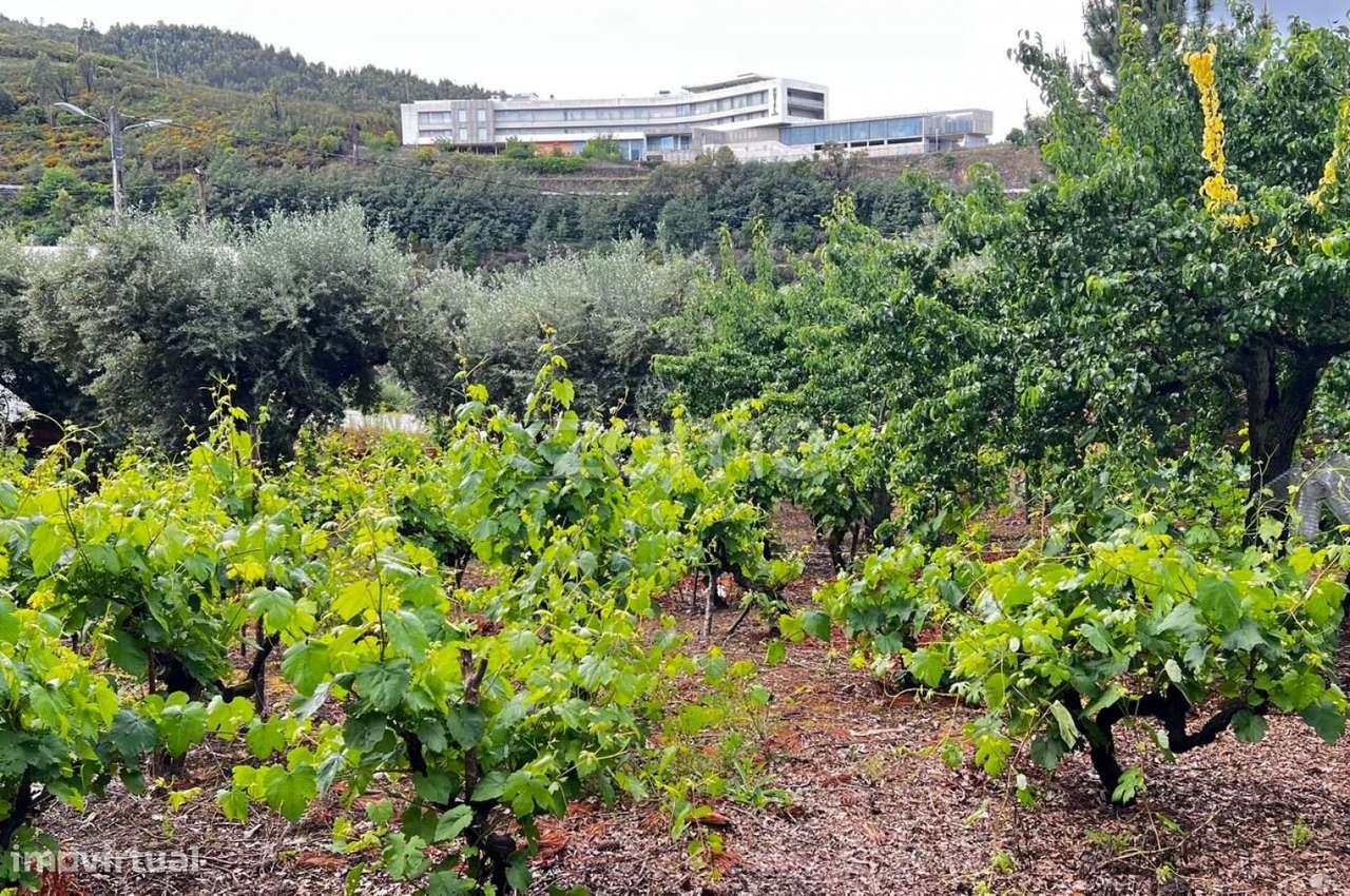 Terrenos Urbanizáveis com 680 e 1.630 m2 - Pampilhosa da Serra-10