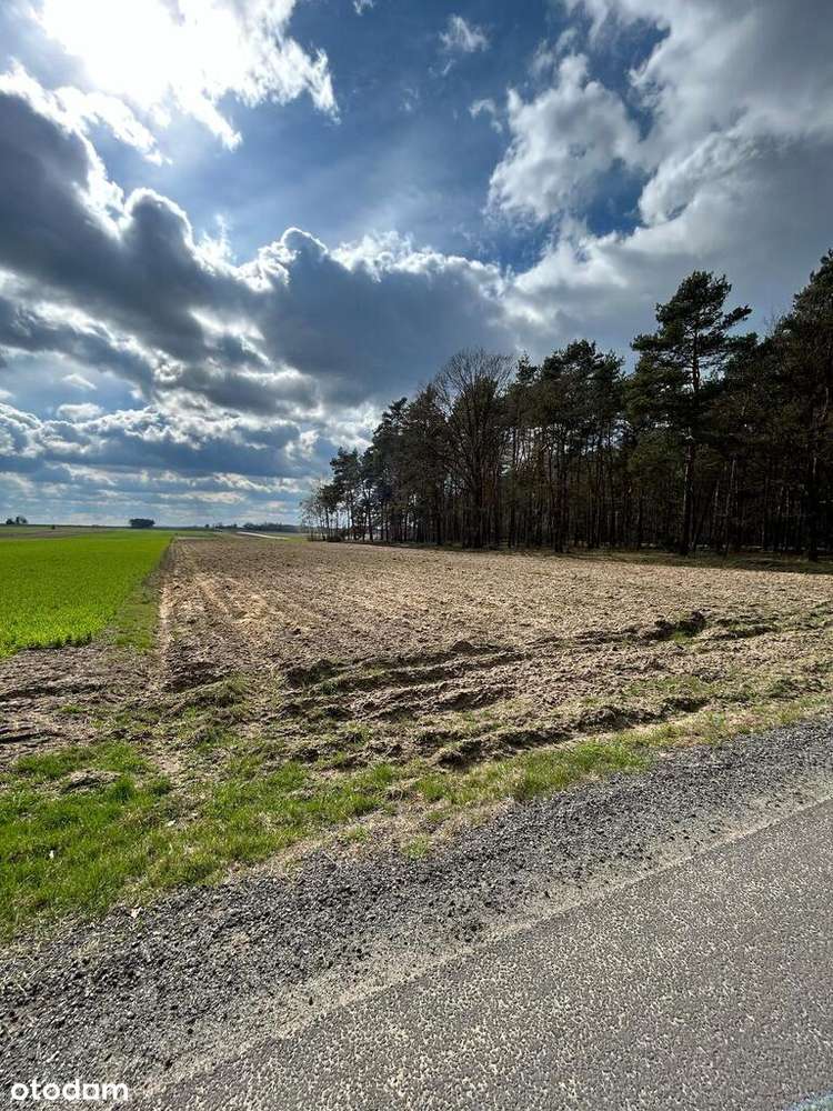 Górki Gmina Przystajń | Działka na sprzedaż - Pełny obrazek: 5/12
