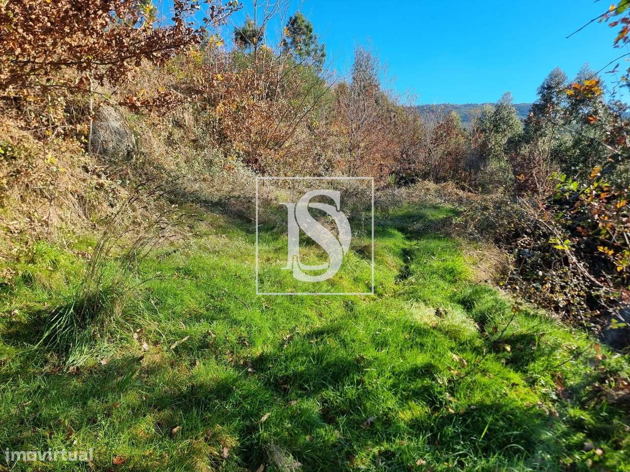 Terreno com Ruina em Pedra - Grande imagem: 5/20