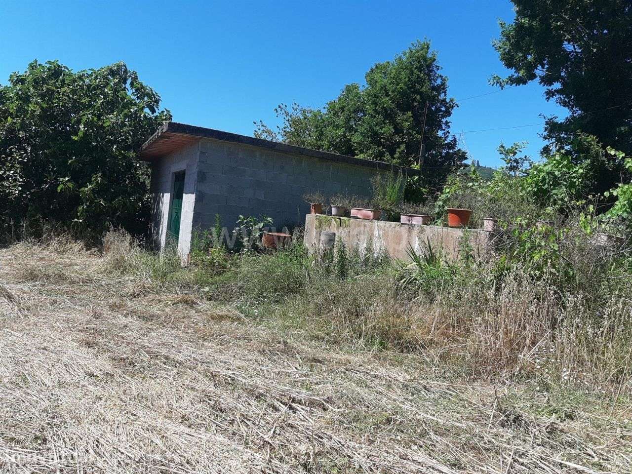 Terreno agrícola com 3.600 m2 em Cabeceiras de Basto - Grande imagem: 2/4