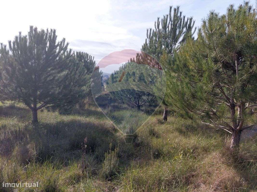 Terreno  para venda - Grande imagem: 4/12