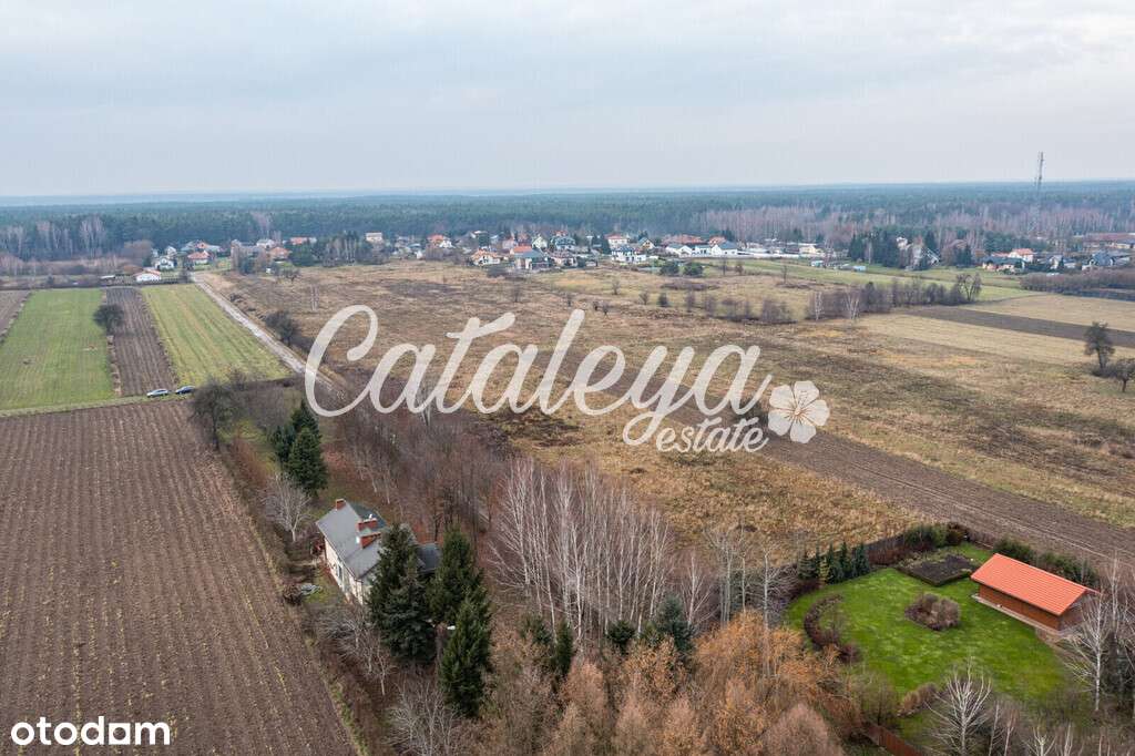 Inwestycja/budowlana/pod Warszawą/Las/Łąki - Pełny obrazek: 4/15