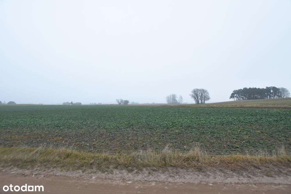 Działka budowlana możliwość budowy 3 domów BRZOZA/Niepruszewo-8