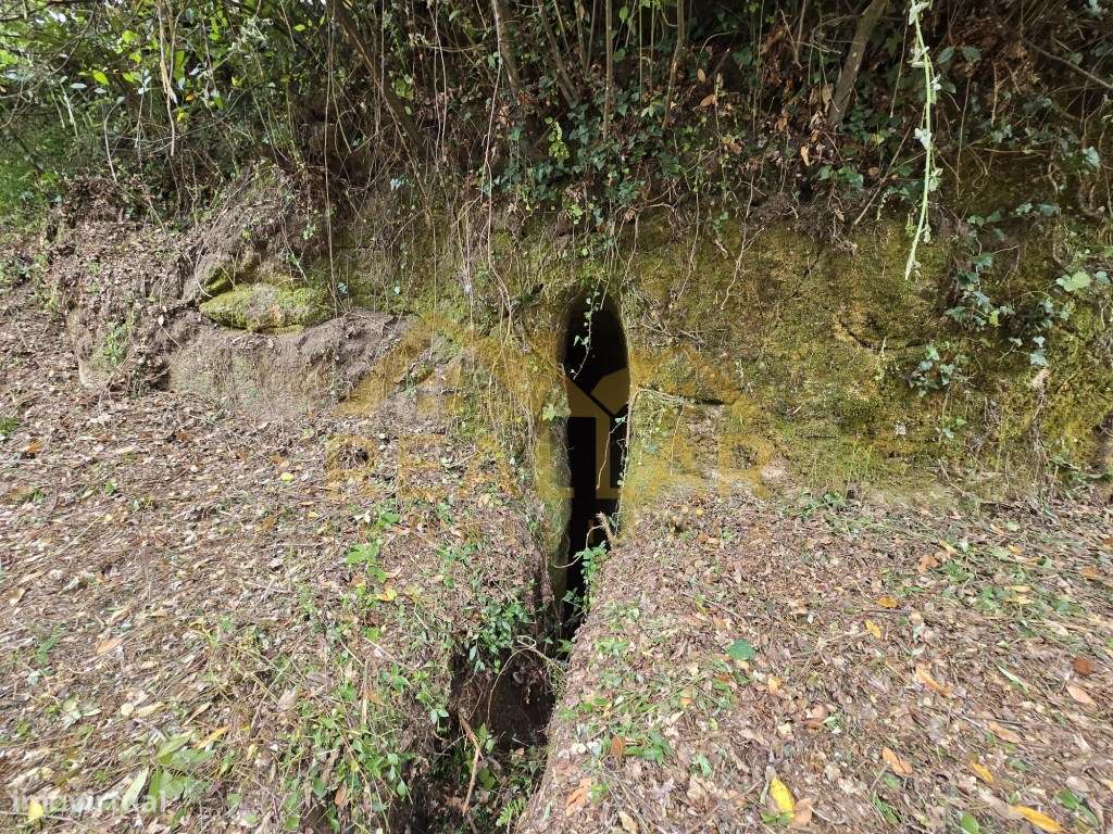Terreno com Vistas Deslumbrantes sobre o Rio Caldo - Gerês-14