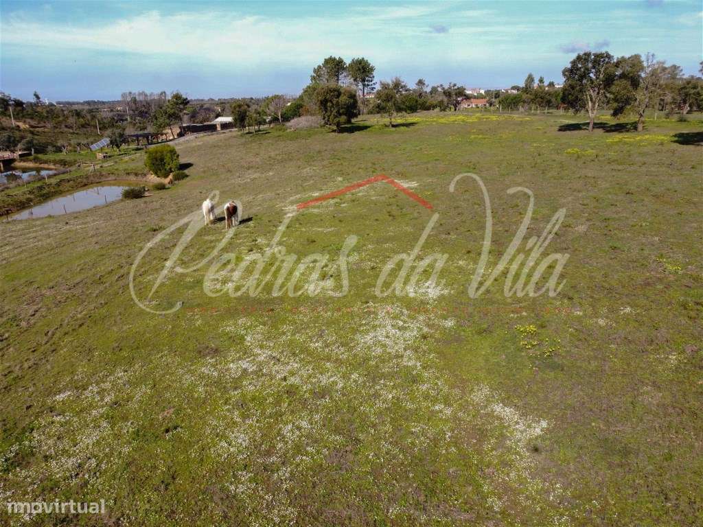 Quinta com 6,5ha em Vale Juncal - São Teotónio-52