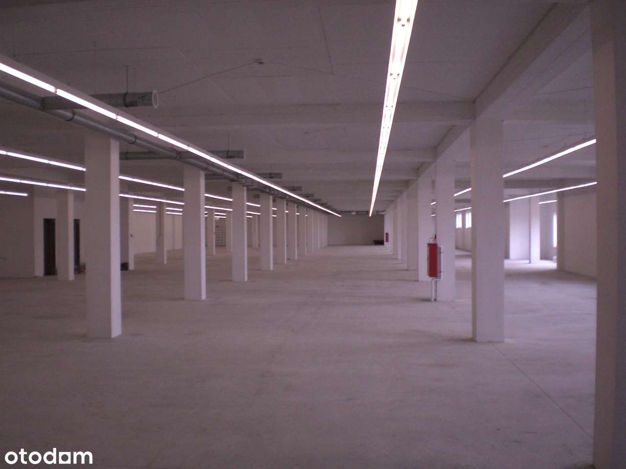 Parter 788 m2 Centrum Handlowe - Pełny obrazek: 3/19