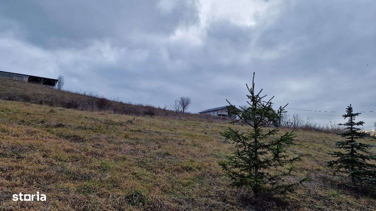 Ultimele 3 Parcele Sannicoara 600mp intravilan CF 5 minute de aeroport - Imagine principală: 5/8