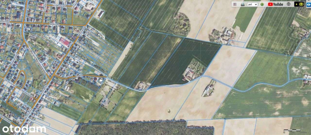 Sprzedam CZTERY działki budowlane Pniewy, pow. szam. - Pełny obrazek: 3/11