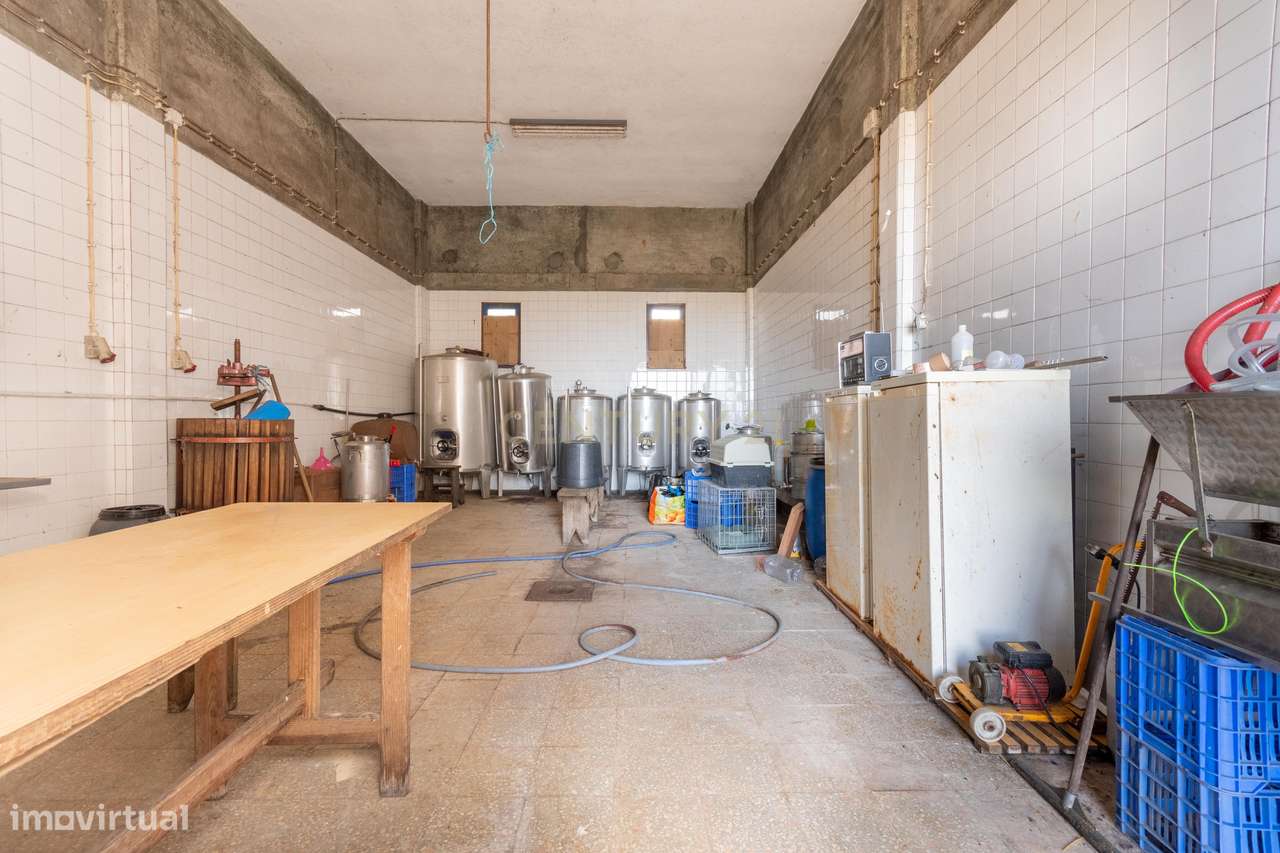 Terreno com Armazém, Moradia e Projeto pré aprovado | Excelente Oportu - Grande imagem: 5/31